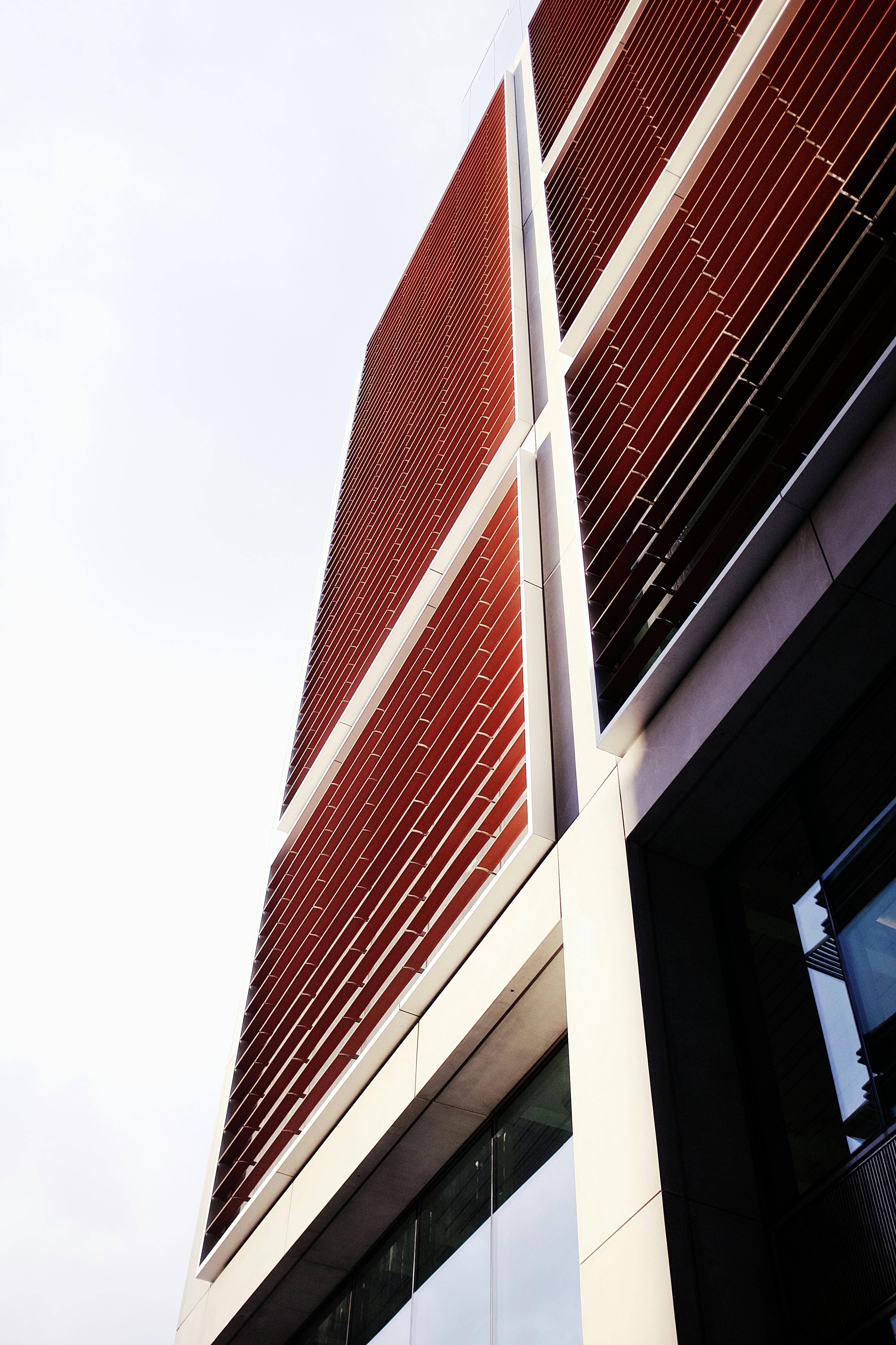 brown and white concrete building