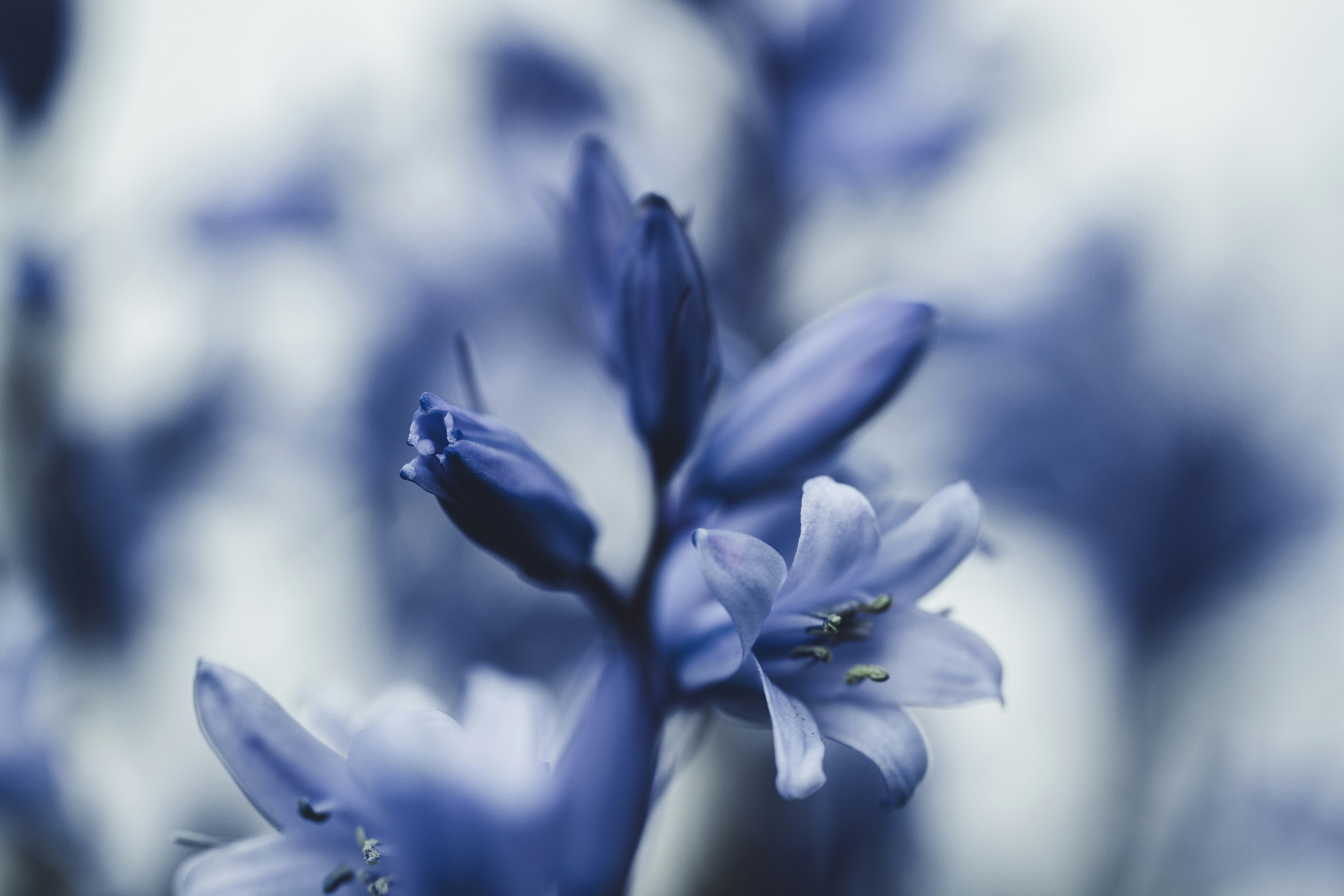 Photo by janes_clutch