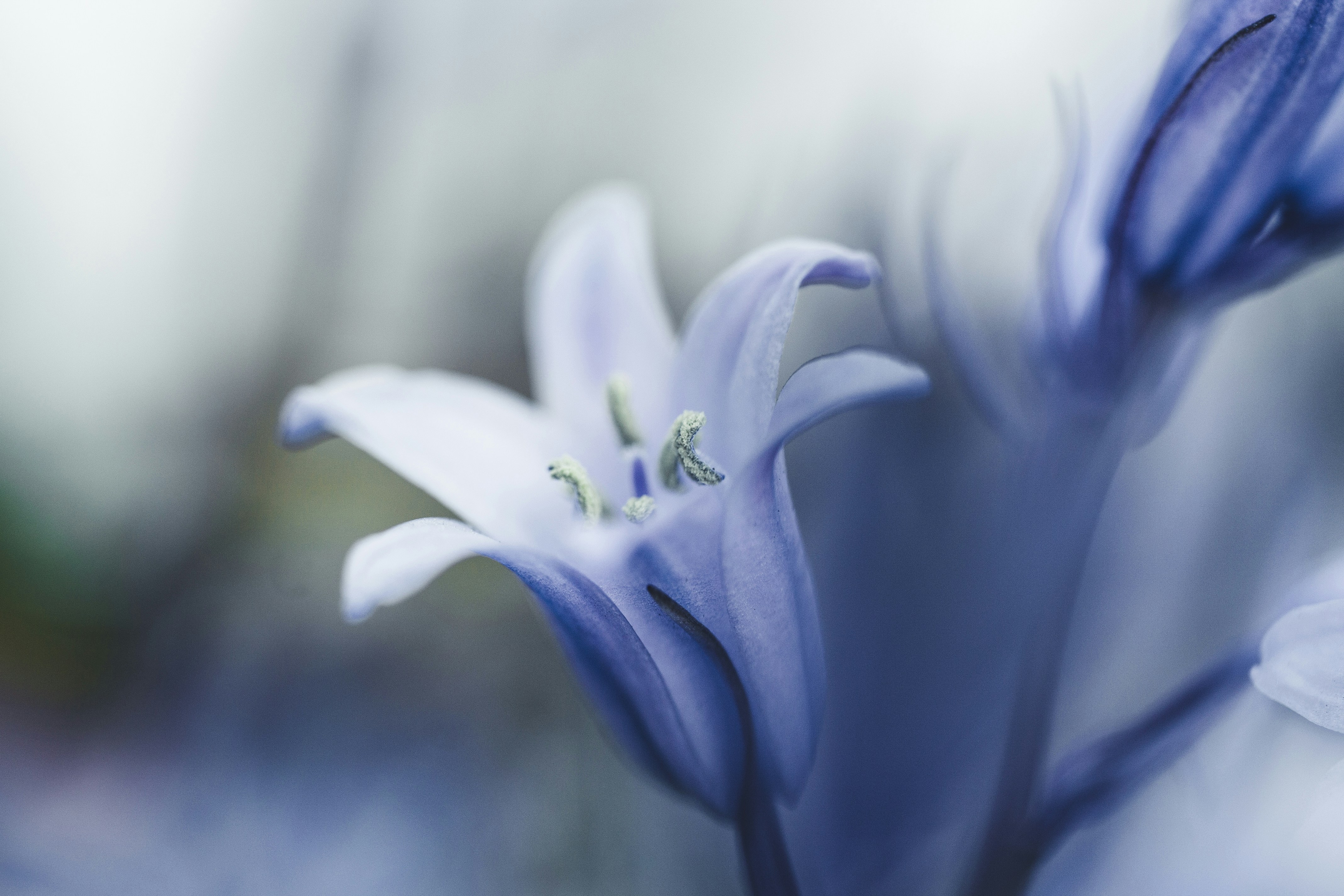 Photo by janes_clutch