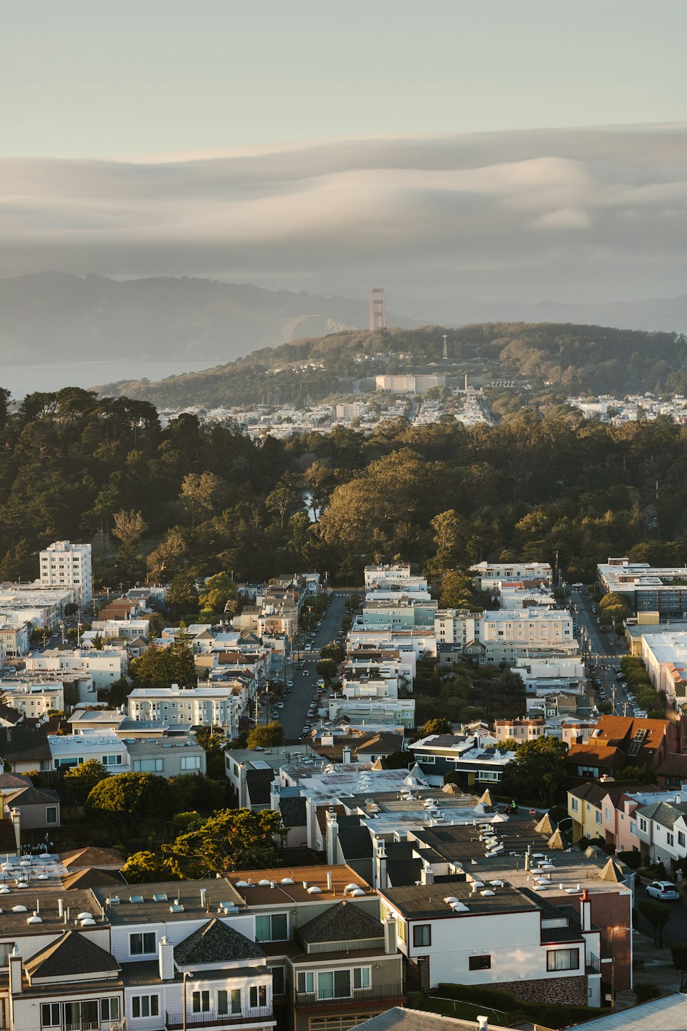 aerial view of city buildings during daytime