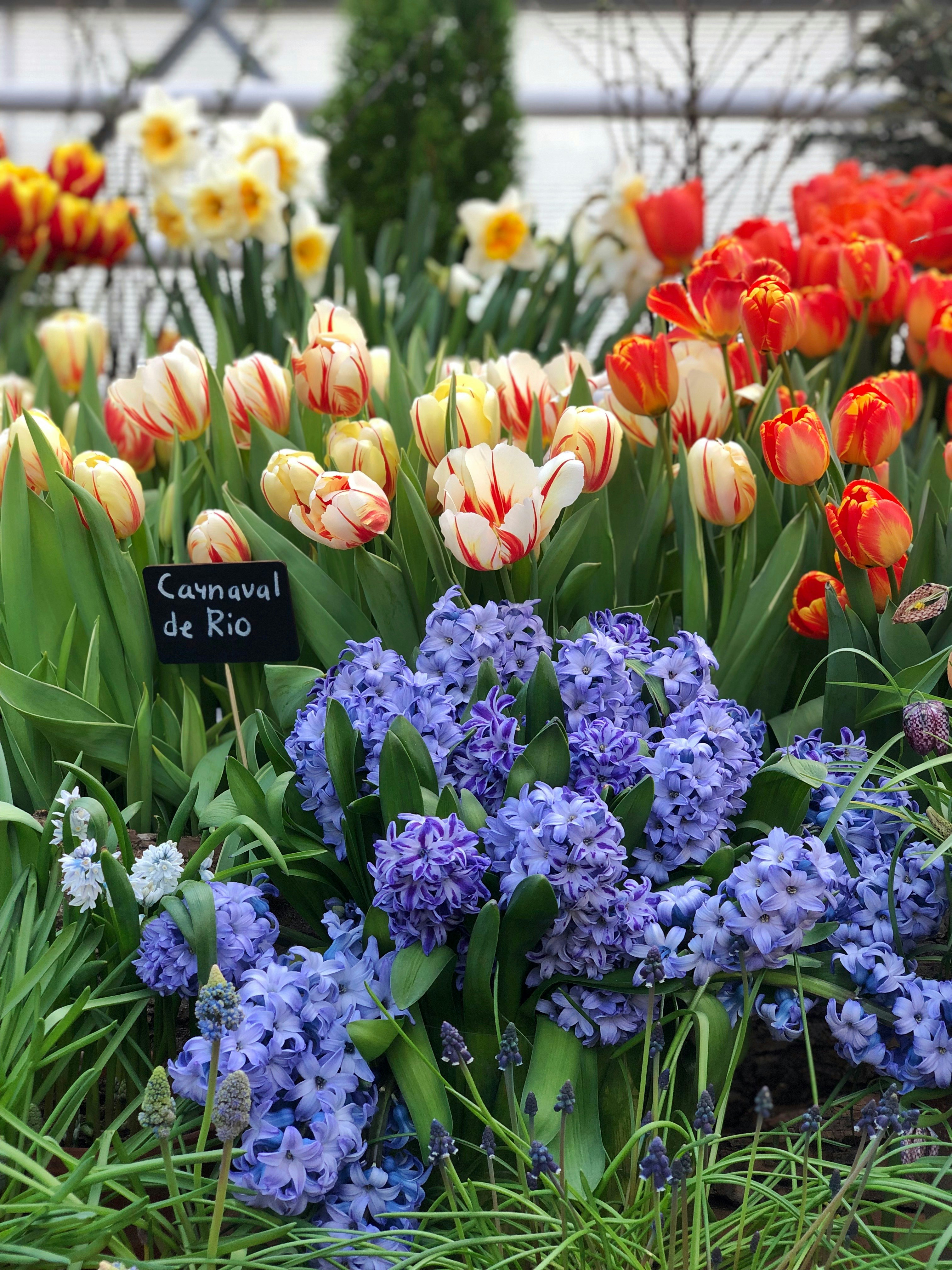 Photo by its__amazing