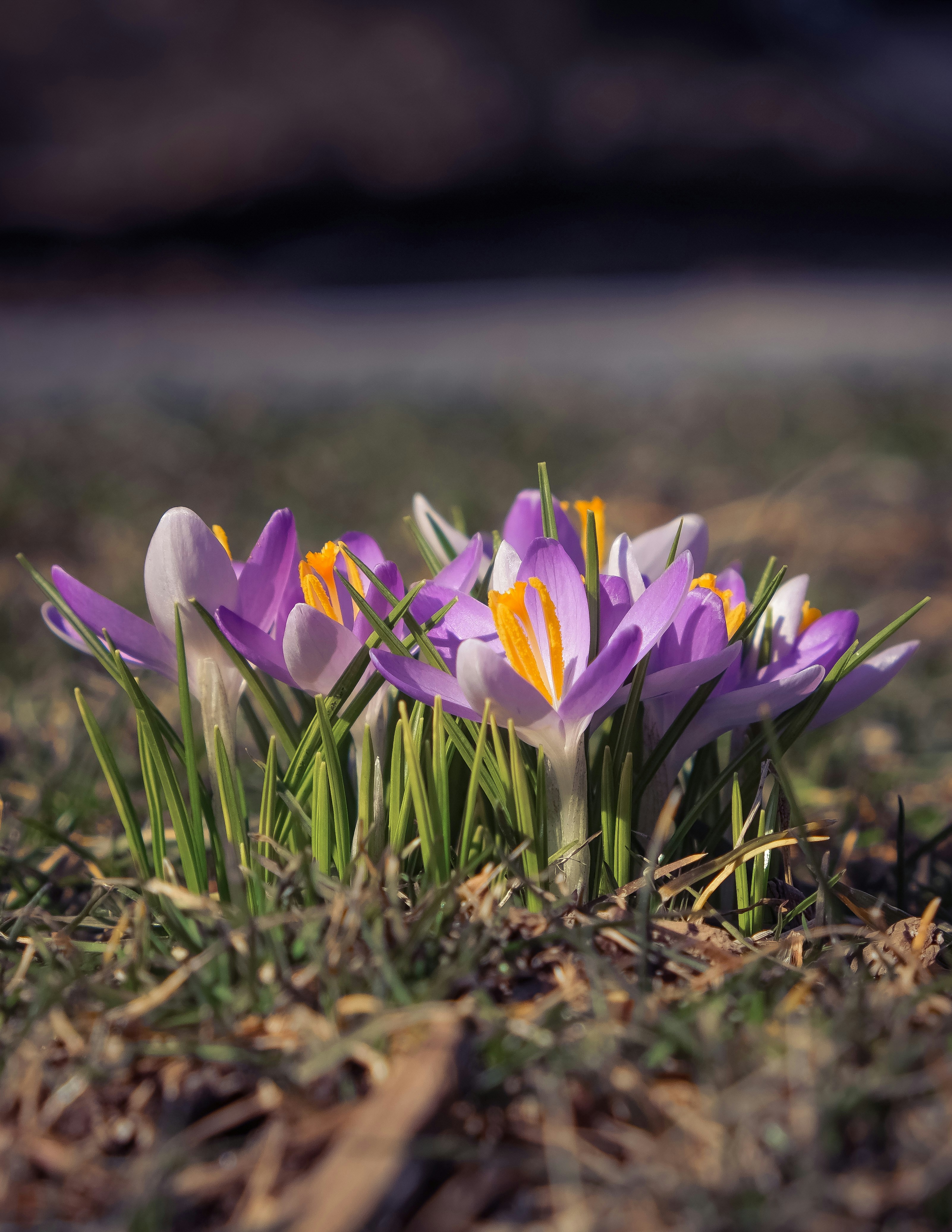 Photo by create4eyes