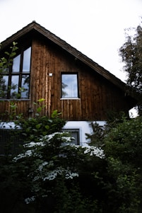 brown wooden house with green plants