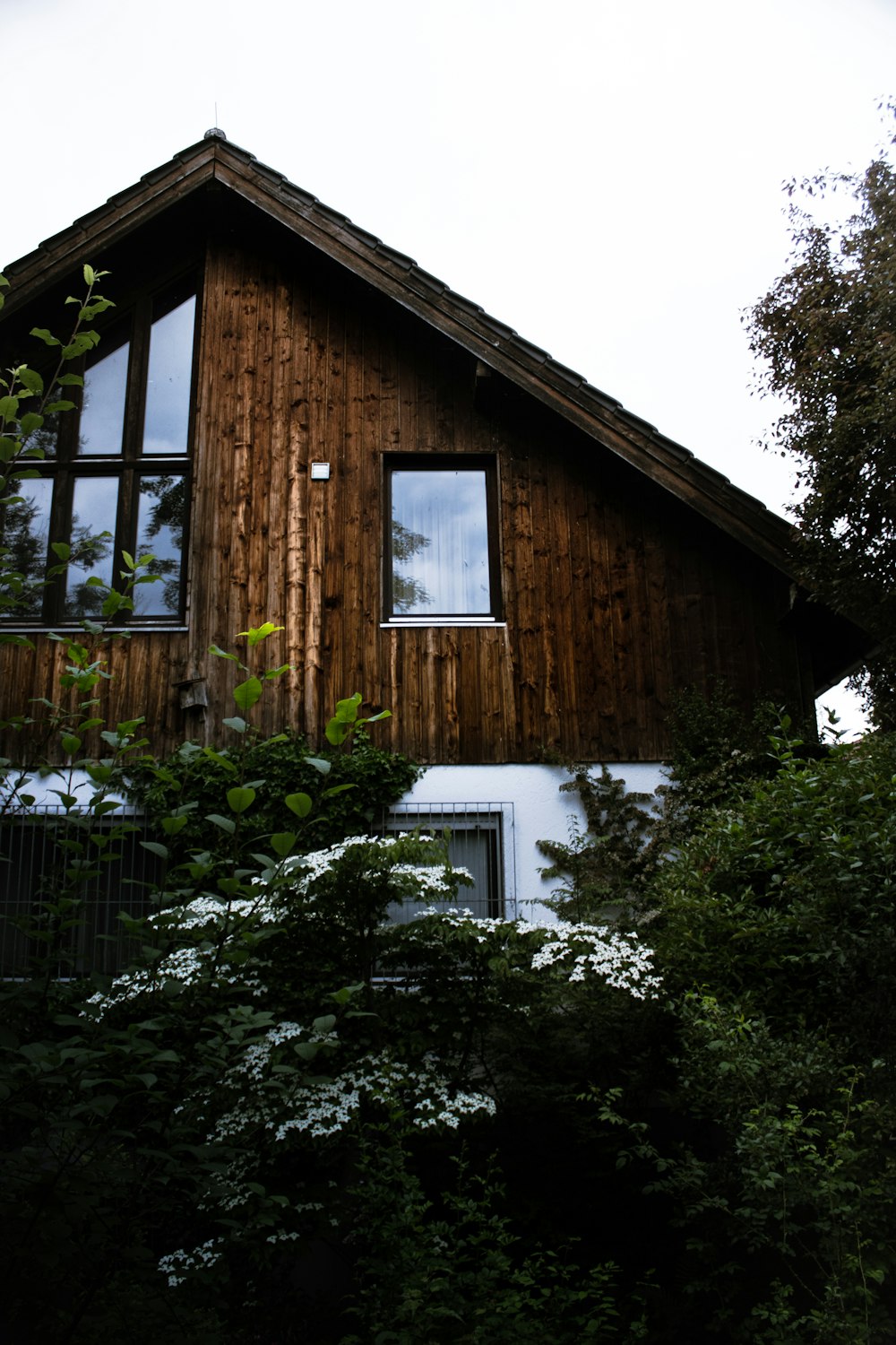 casa in legno marrone con piante verdi