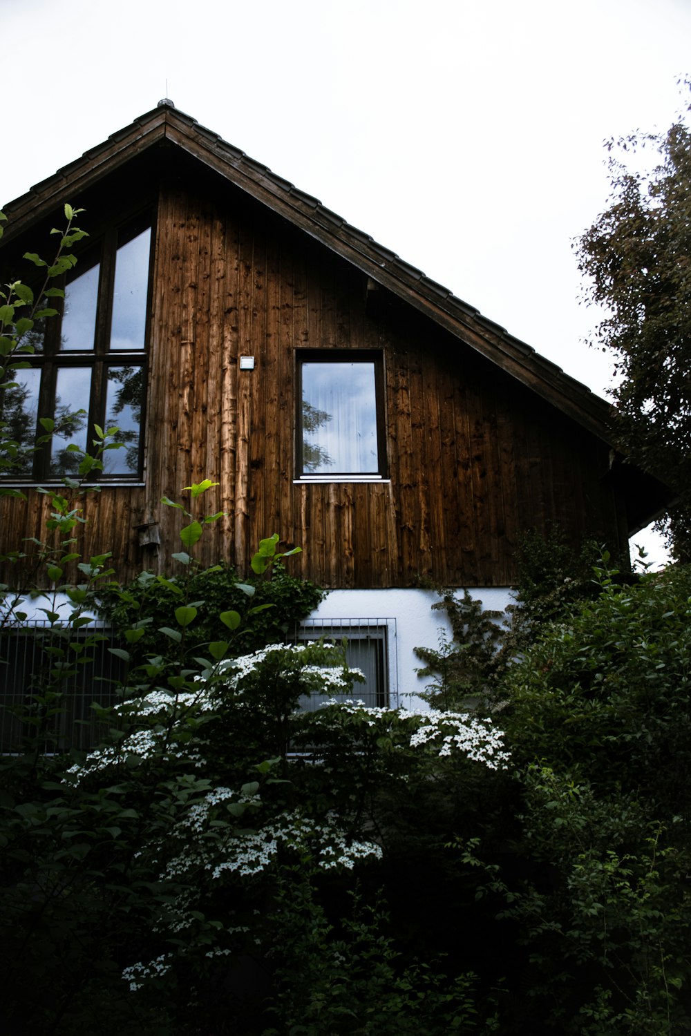 brown wooden house with green plants
