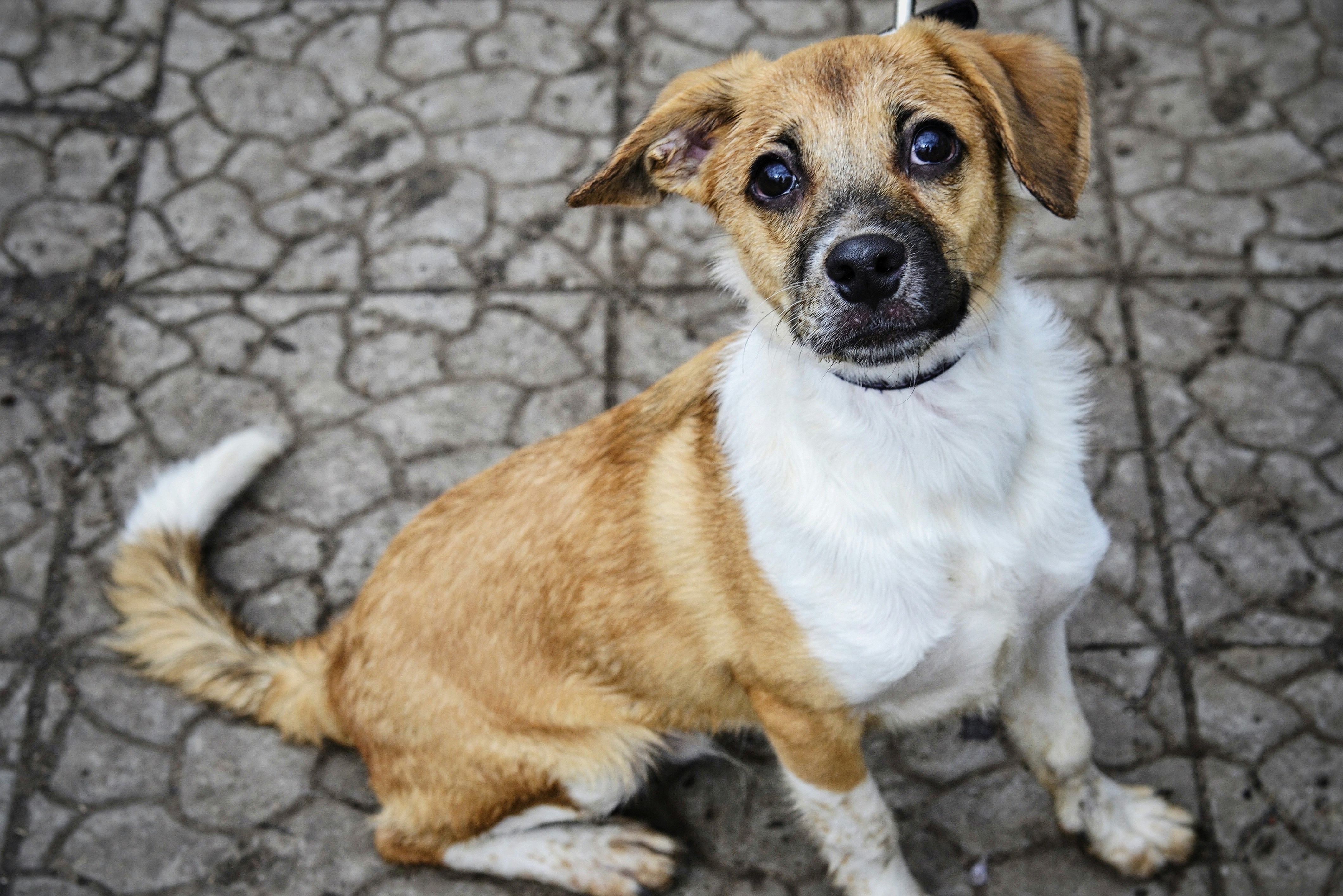 Photo by anastasiiad