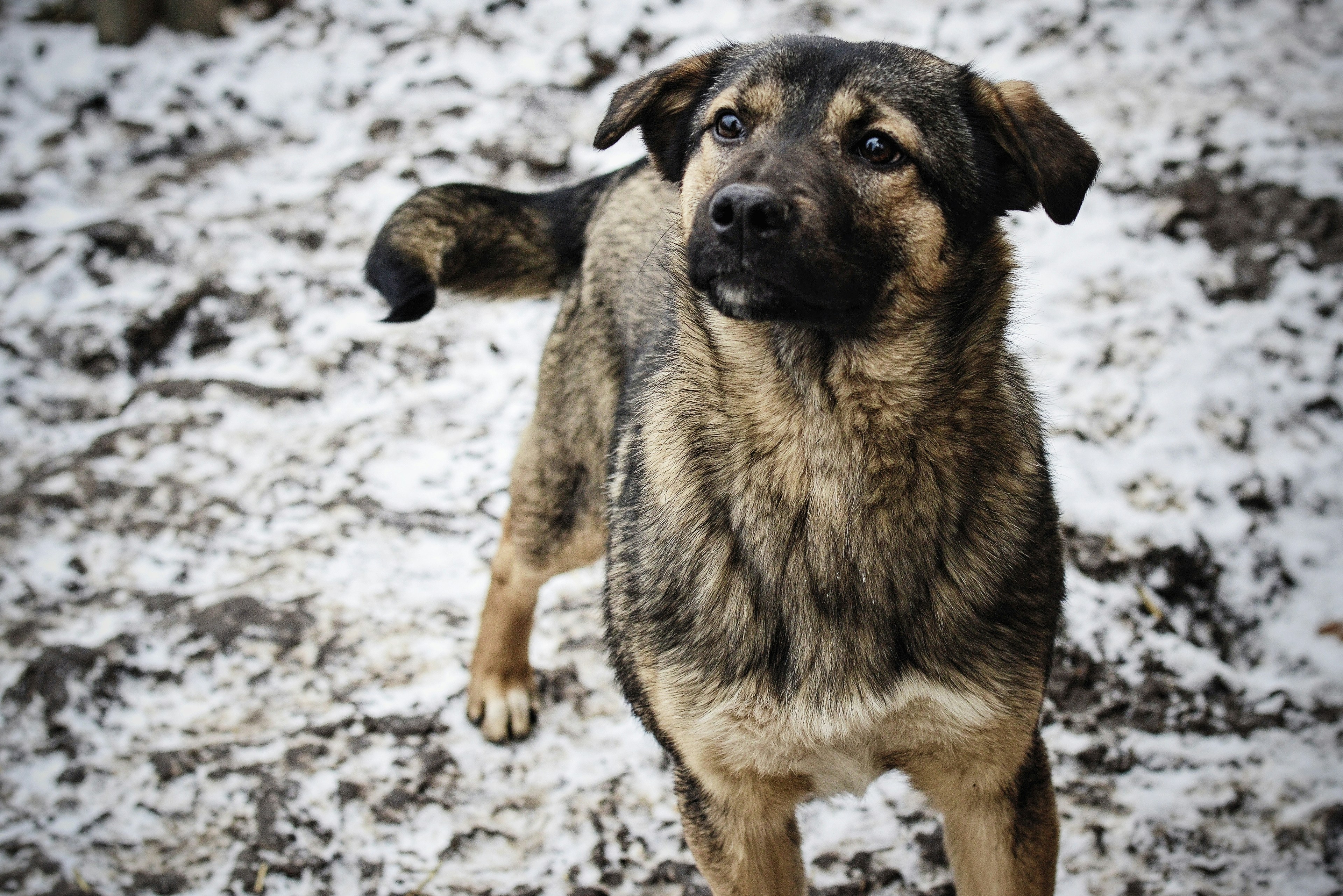 Photo by anastasiiad