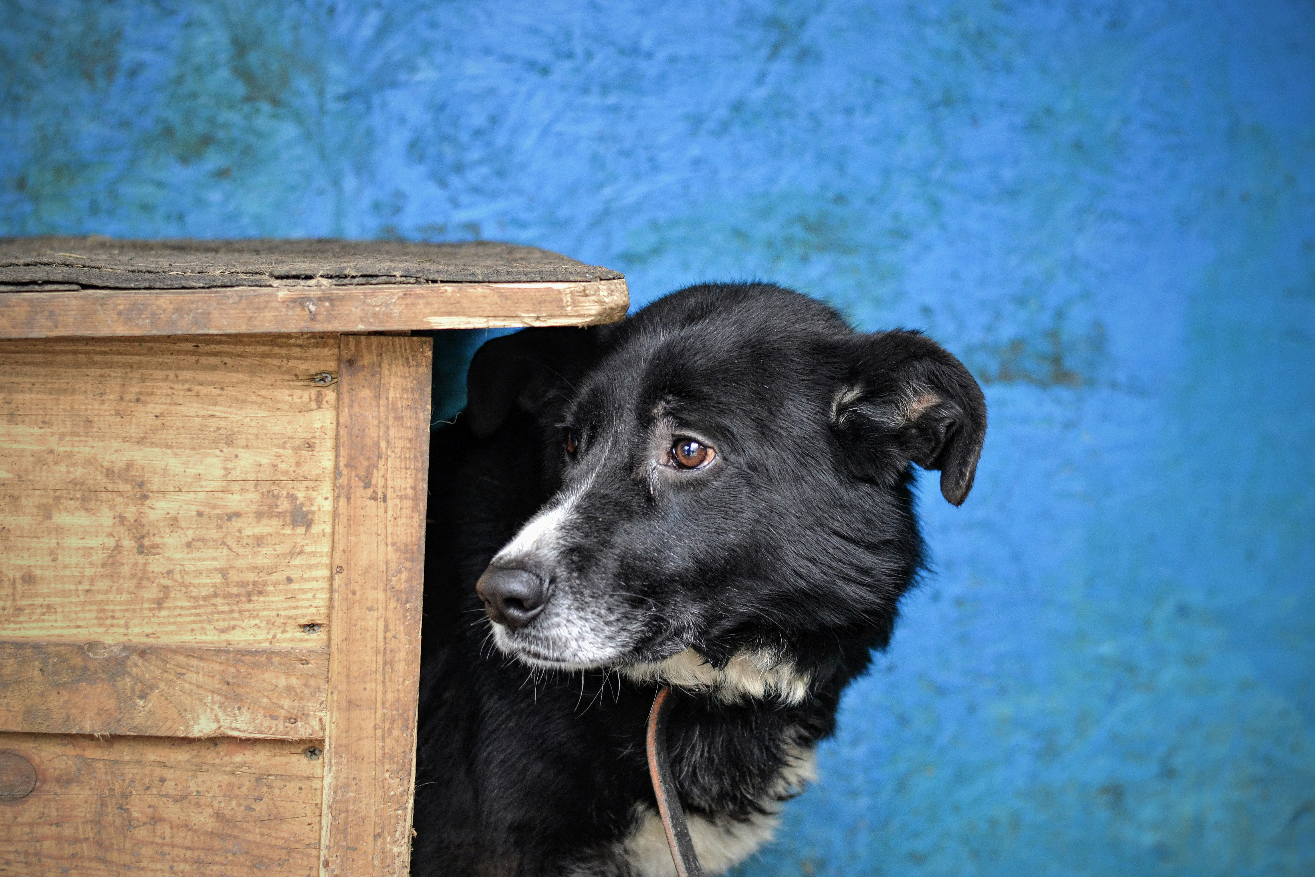 Photo by anastasiiad