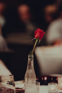 Elegant single-stem roses arranged in a minimalist glass bottle on a wooden table.