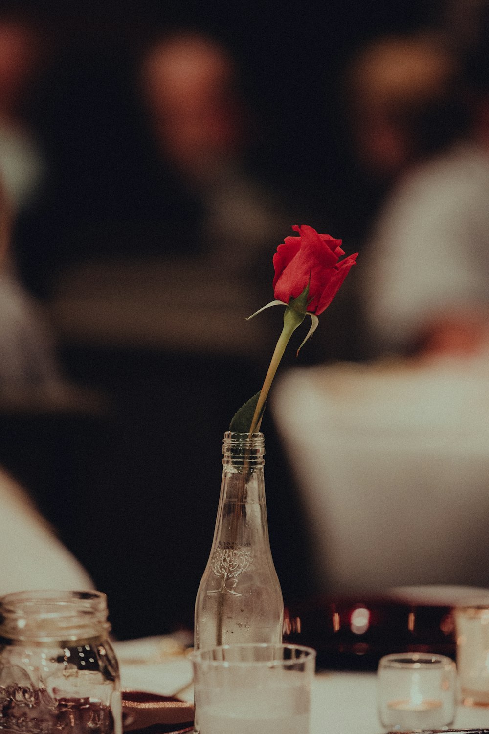 red rose in clear glass bottle