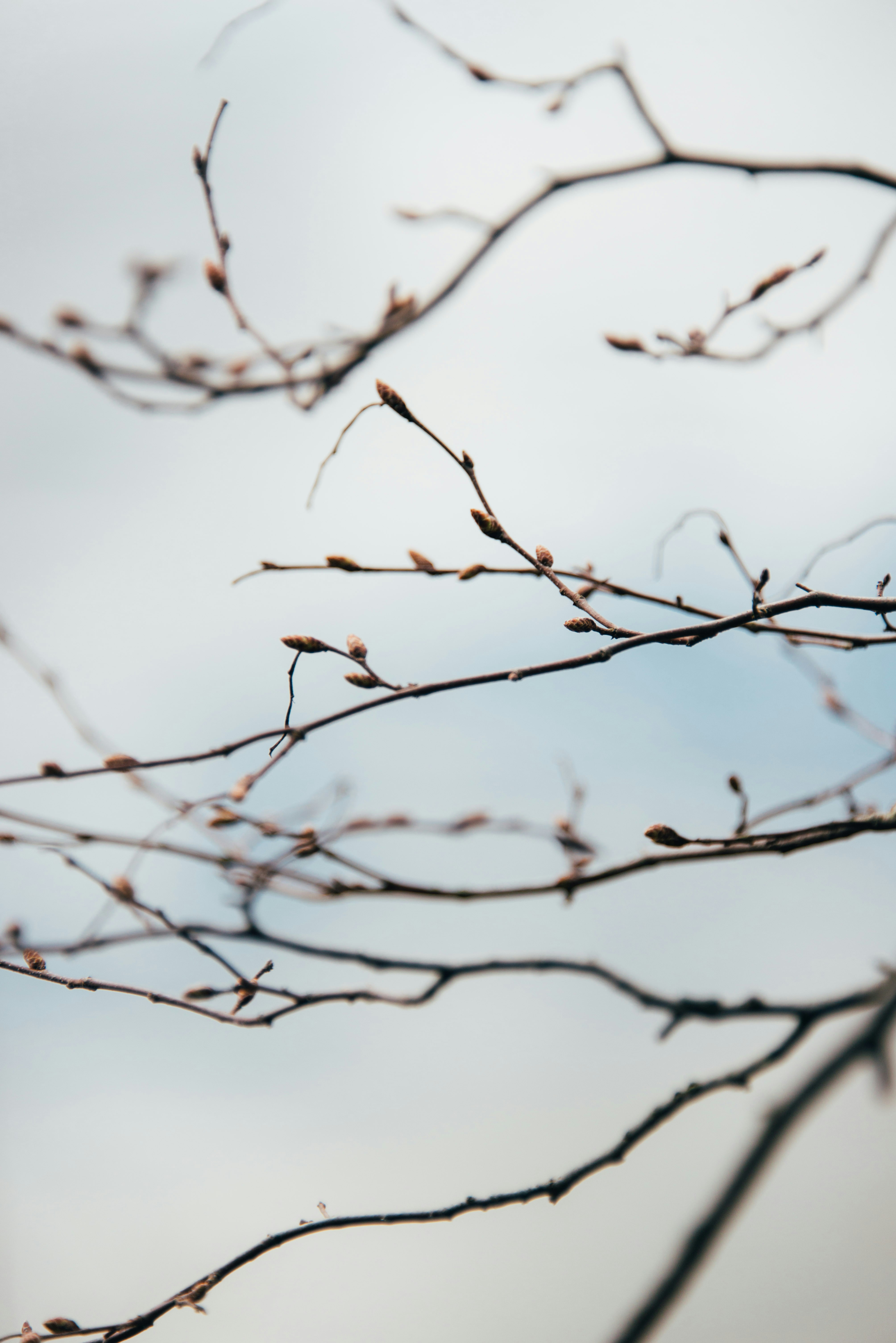 Photo by theroamingwildstead