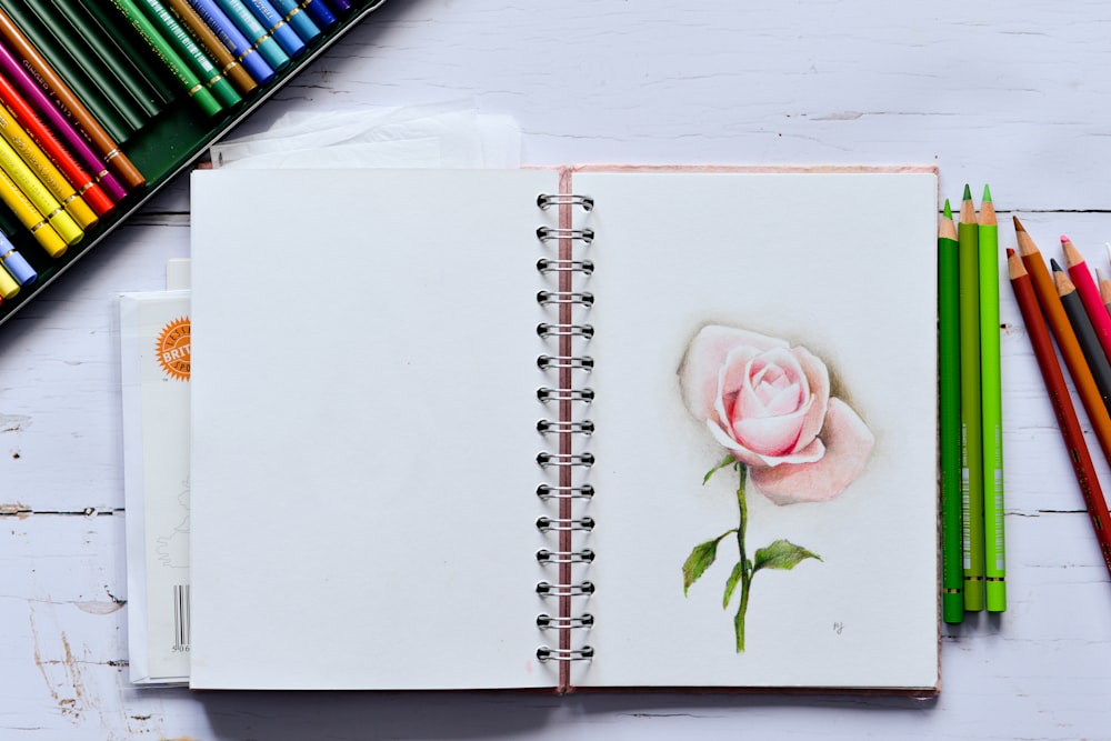 pink rose on white printer paper