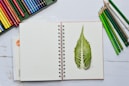 green leaves on white notebook