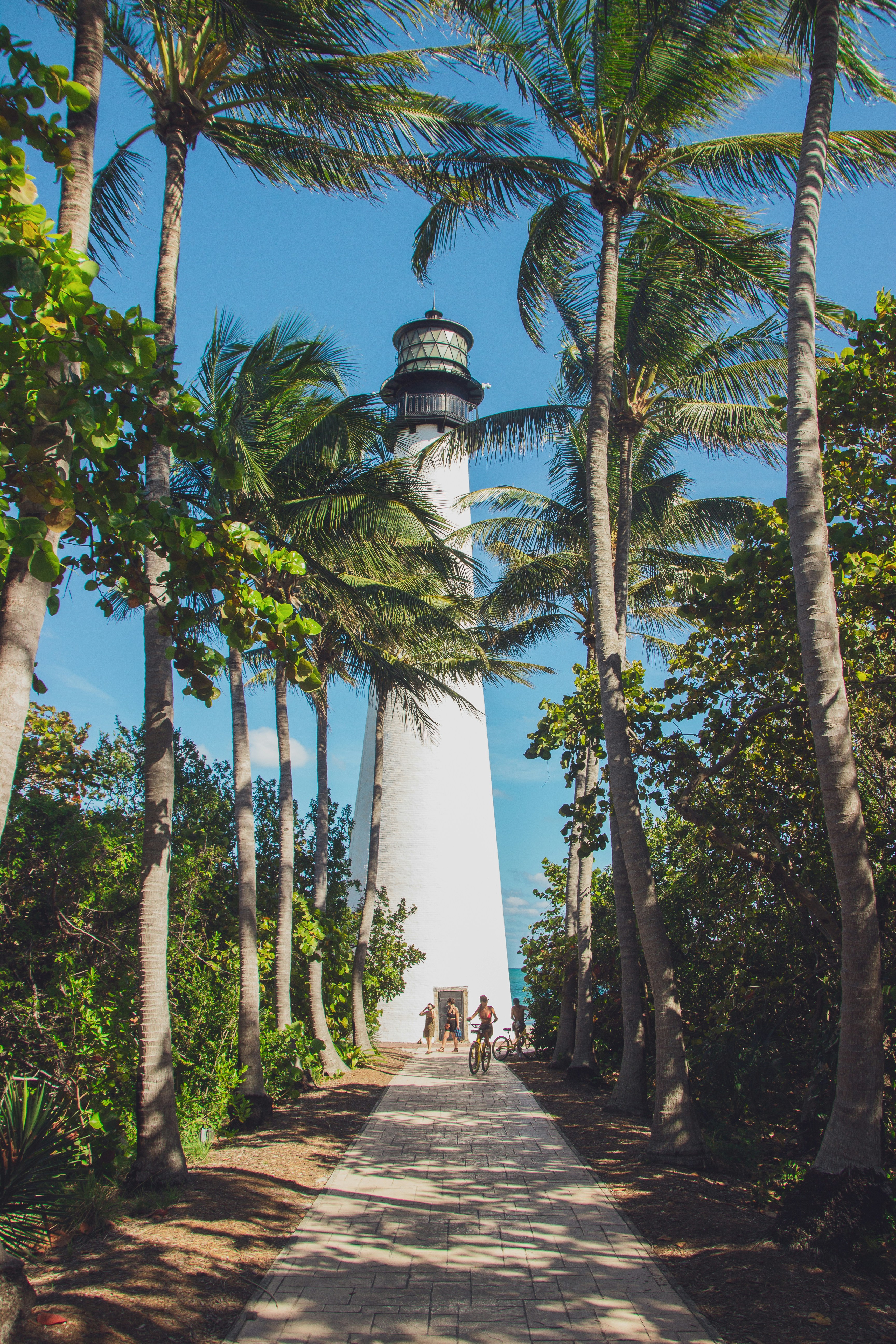Choose from a curated selection of lighthouse photos. Always free on Unsplash.