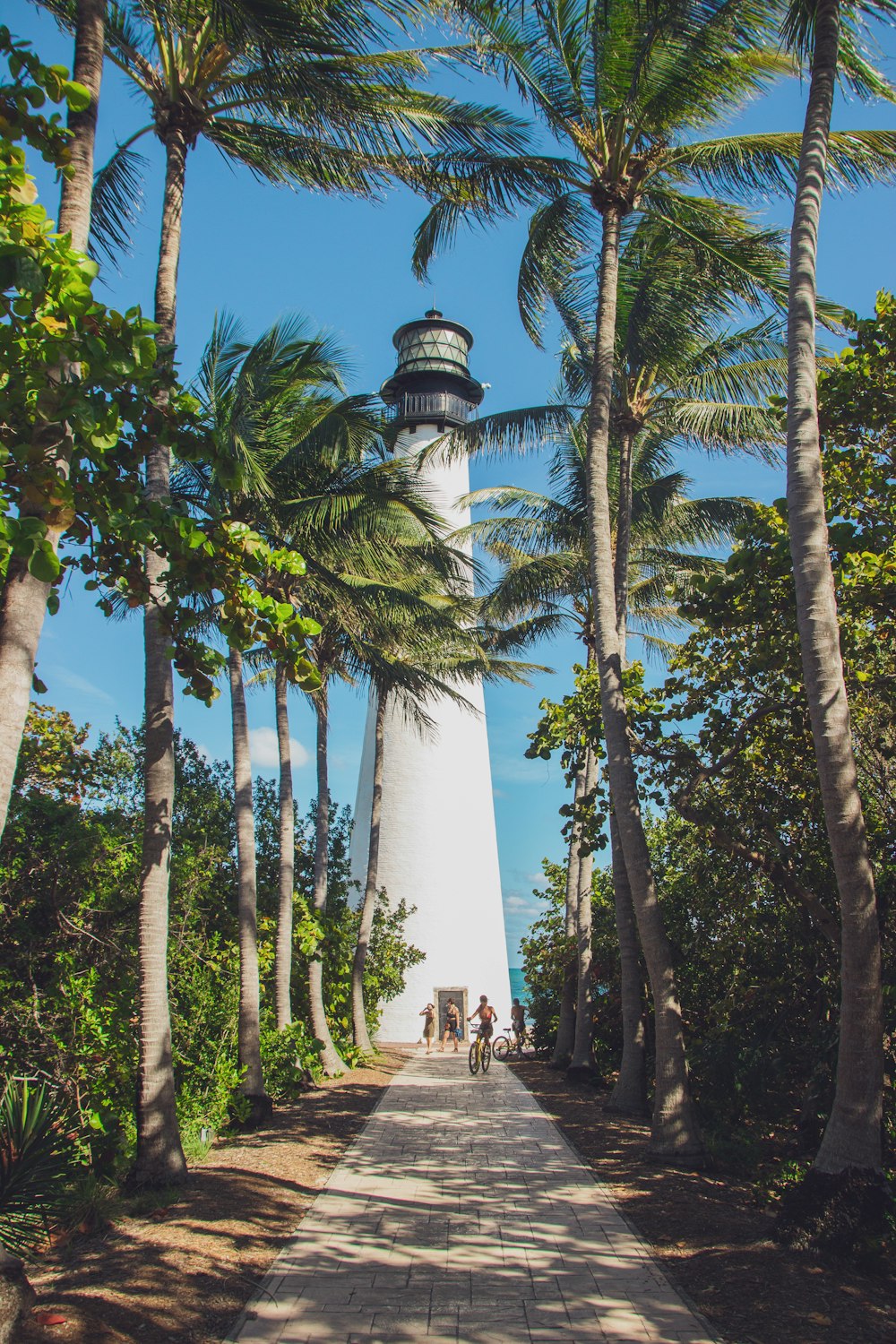 white lighthouse surrounded by palm trees