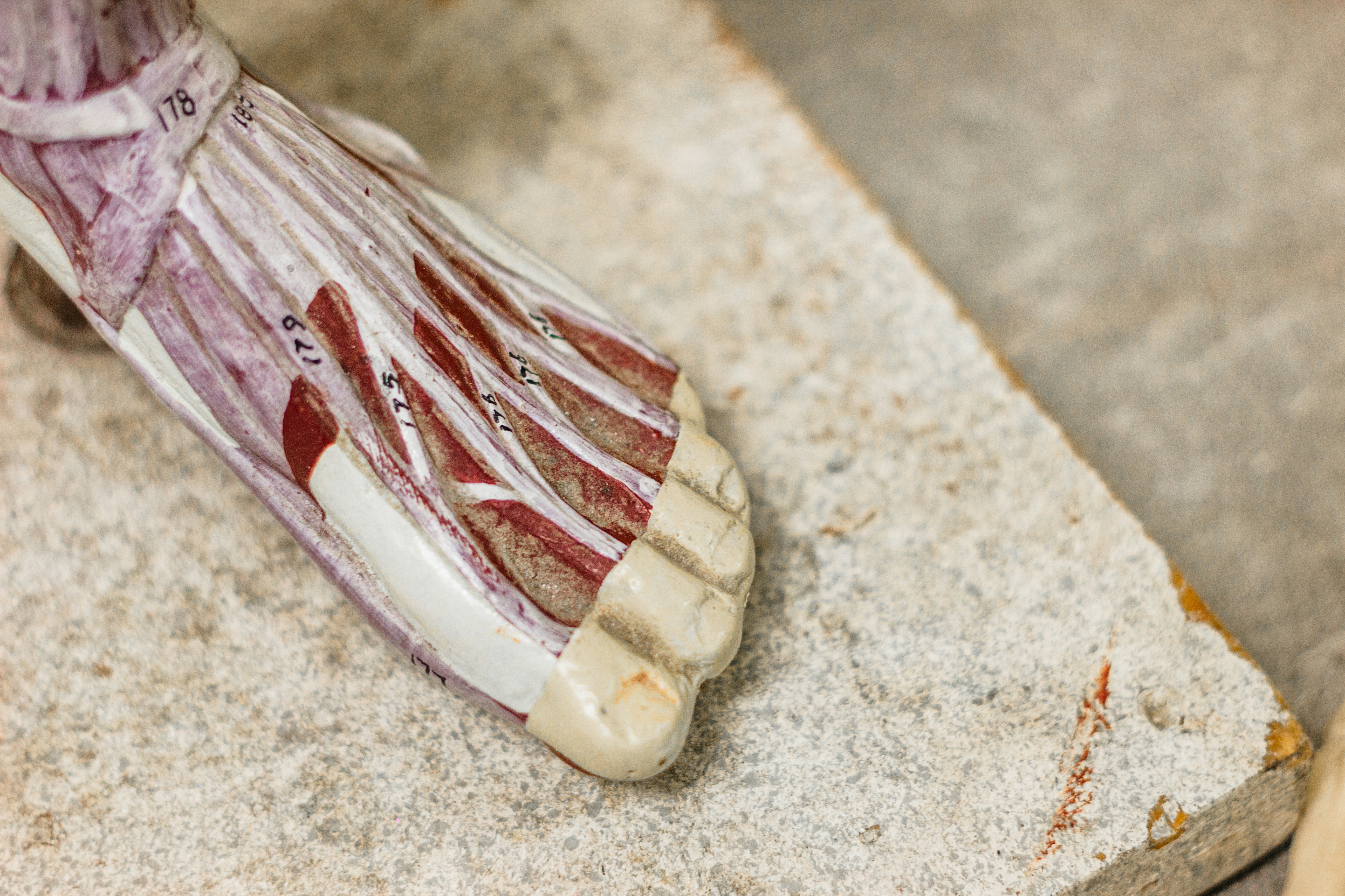 Dott. Michael Costantino in azione