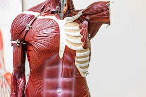 woman in red and white dress