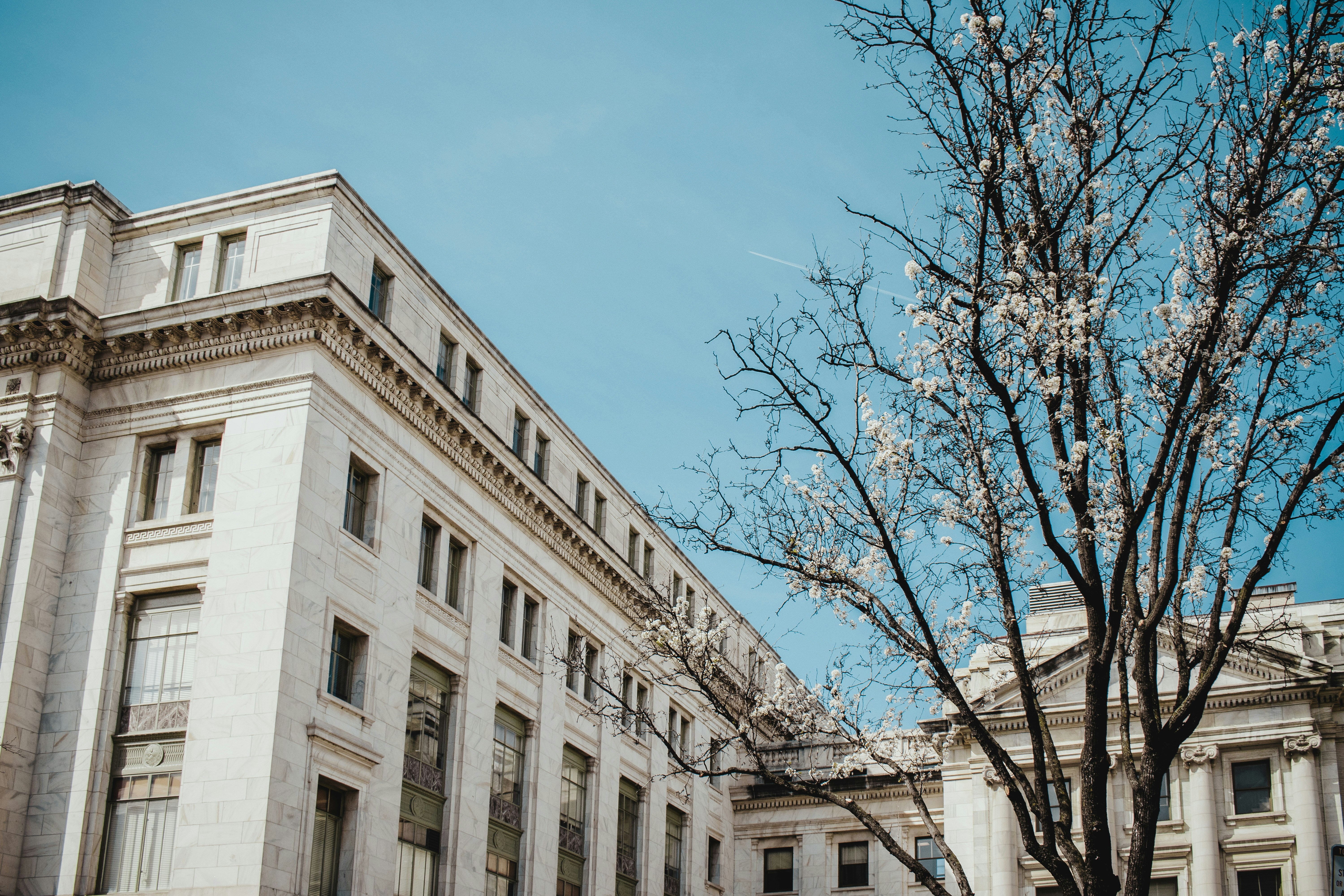 Reading the Regulatory Horizon: How Institutional Crypto Investors Position Ahead of Policy Shifts