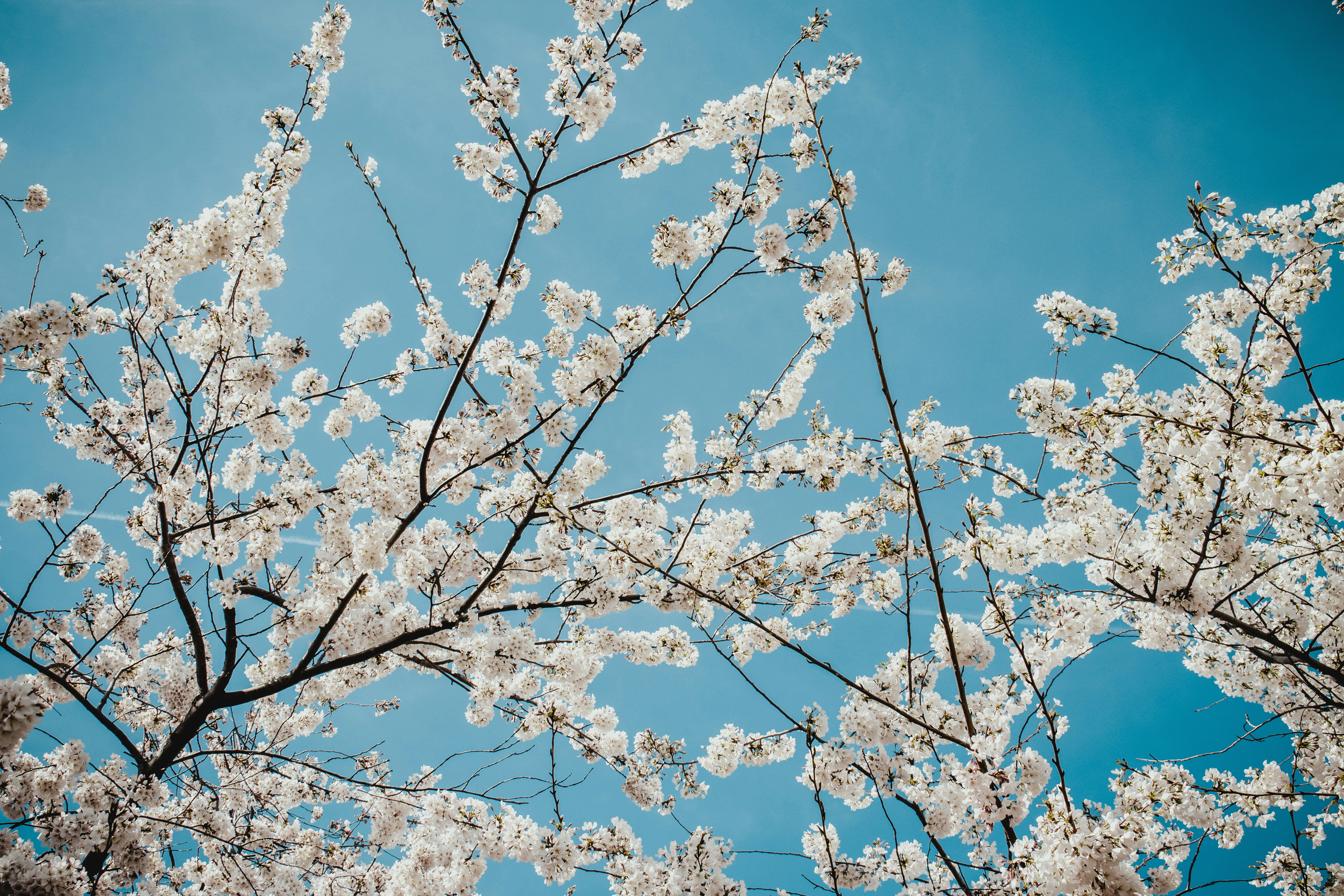 Photo by mzscreations