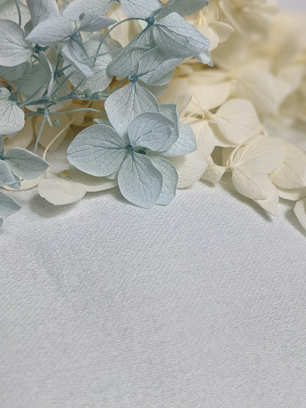white and gray floral textile