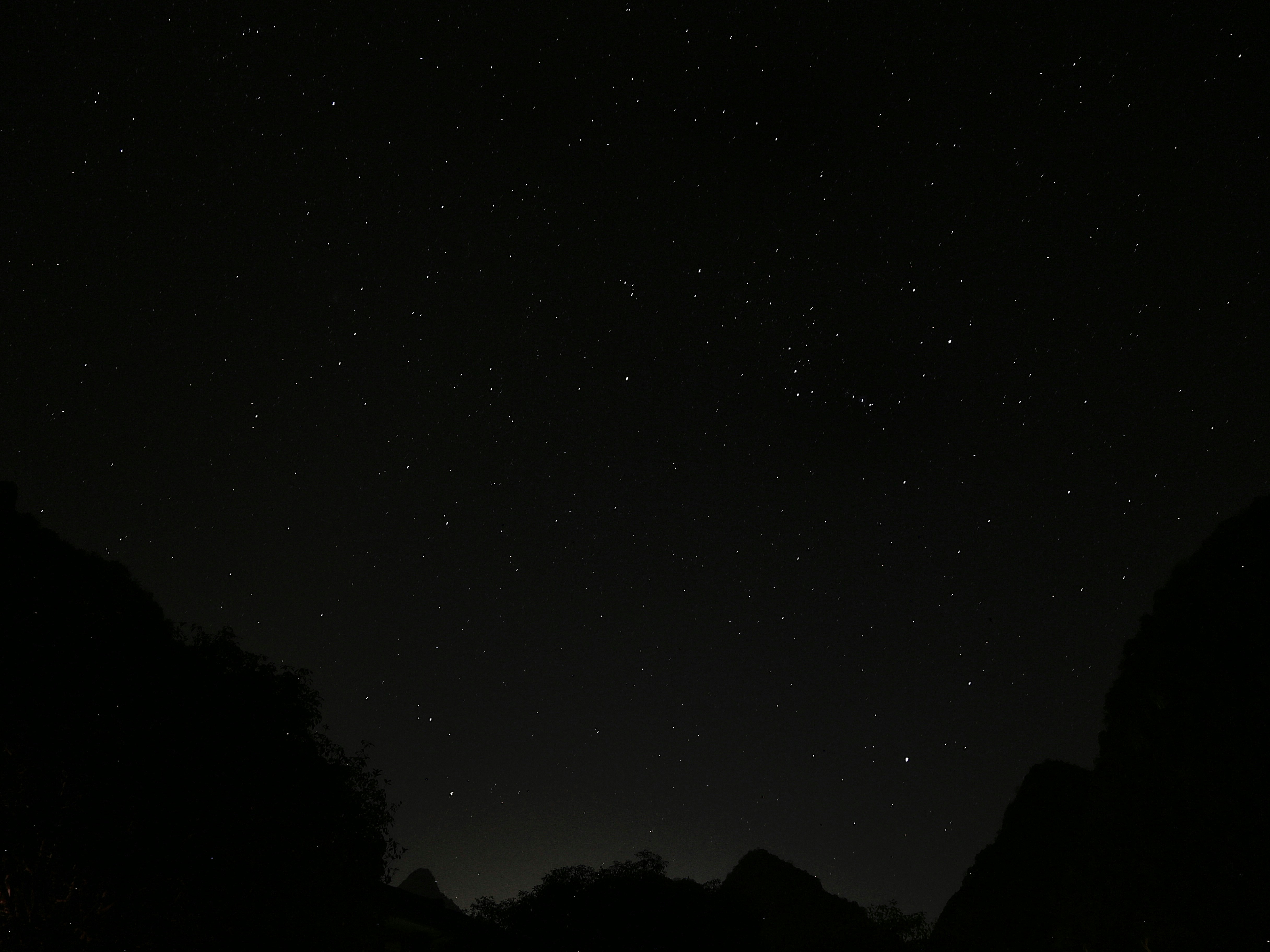 El cielo nocturno está lleno de estrellas y los árboles se recortan contra la oscuridad