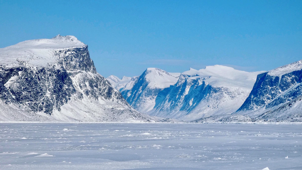 Arctic tundra under snow