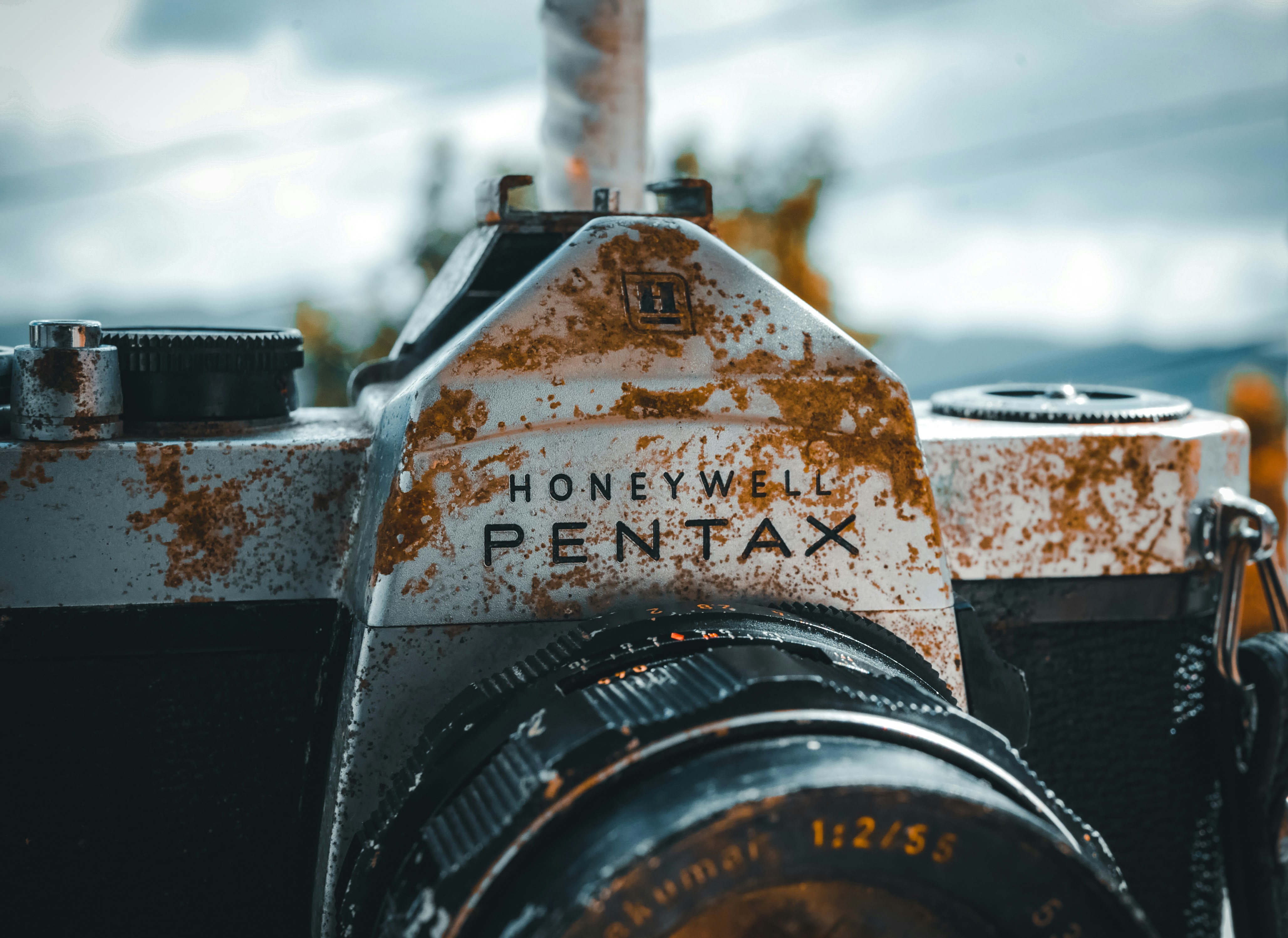 Disposable Camera Wedding: Costs, Downsides, and the Best Modern Alternative