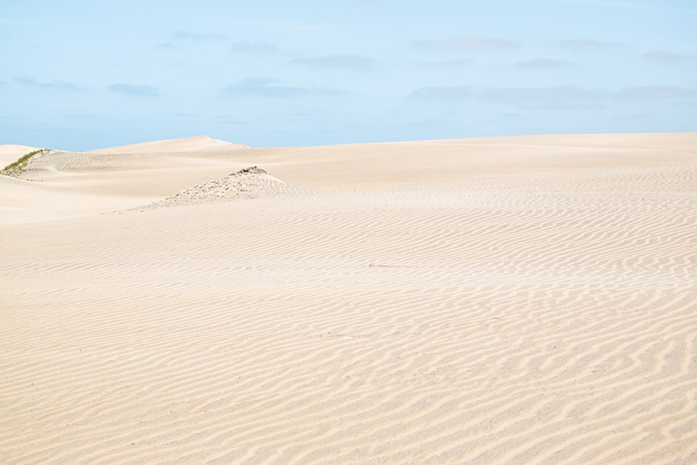 brown sand under blue sky during daytime