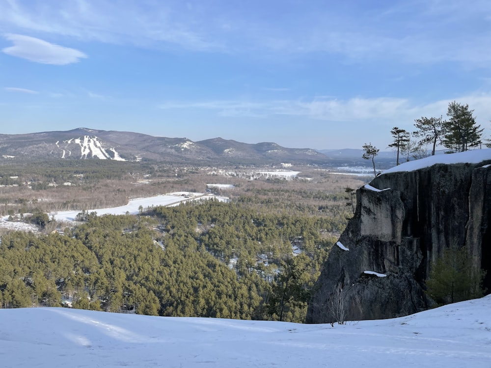 green trees on snow covered mountain during daytime