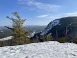 A scenic winter landscape featuring a snow-covered mountainside with a clear blue sky. In the foreground, a pair of red trekking poles are planted in the snow. Pine trees with a dusting of snow are visible, and a vast expanse of forest extends into the distance.