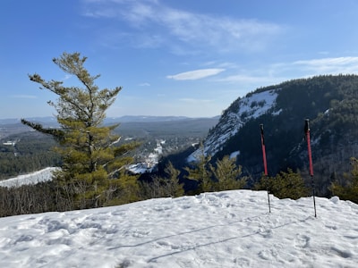 A scenic winter landscape featuring a snow-covered mountainside with a clear blue sky. In the foreground, a pair of red trekking poles are planted in the snow. Pine trees with a dusting of snow are visible, and a vast expanse of forest extends into the distance.