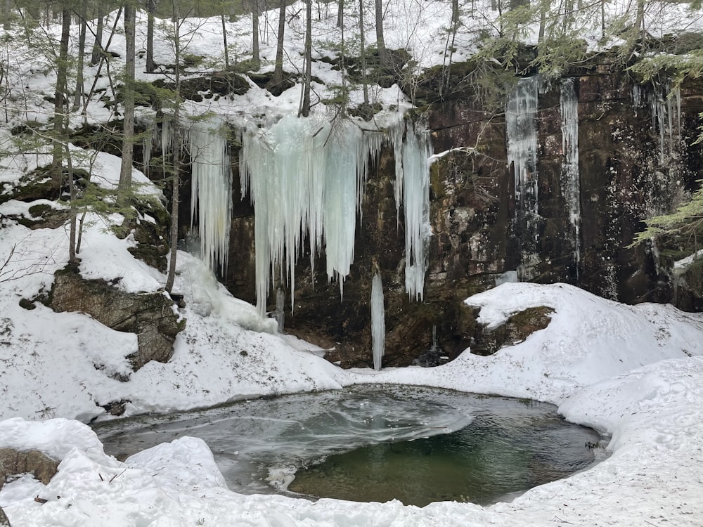 specchio d'acqua tra gli alberi durante il giorno