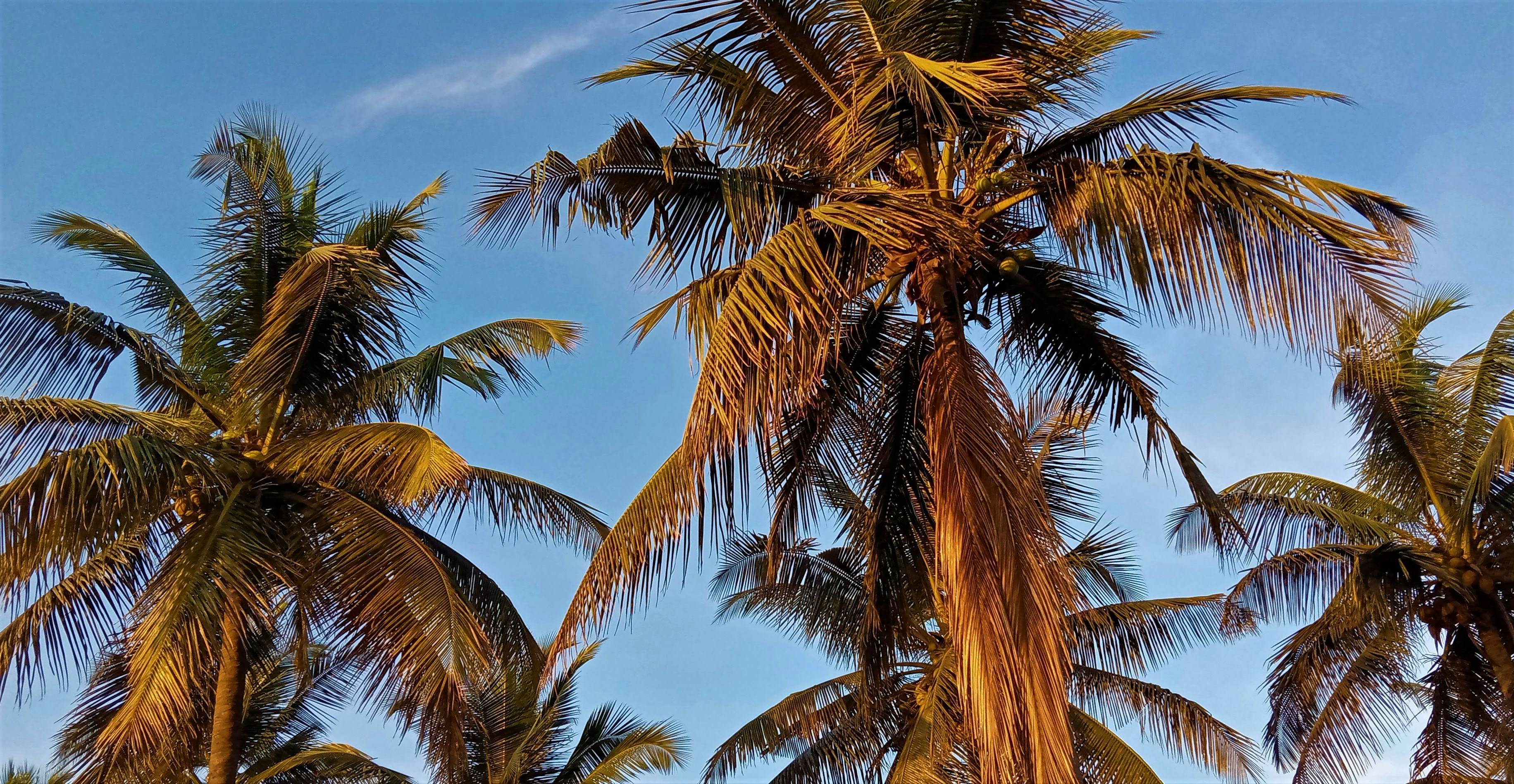 Photo by abigailvijetha