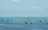 Numerous fishing boats with vibrant green and blue colors are spread across a vast expanse of calm ocean waters, under a clear blue sky.