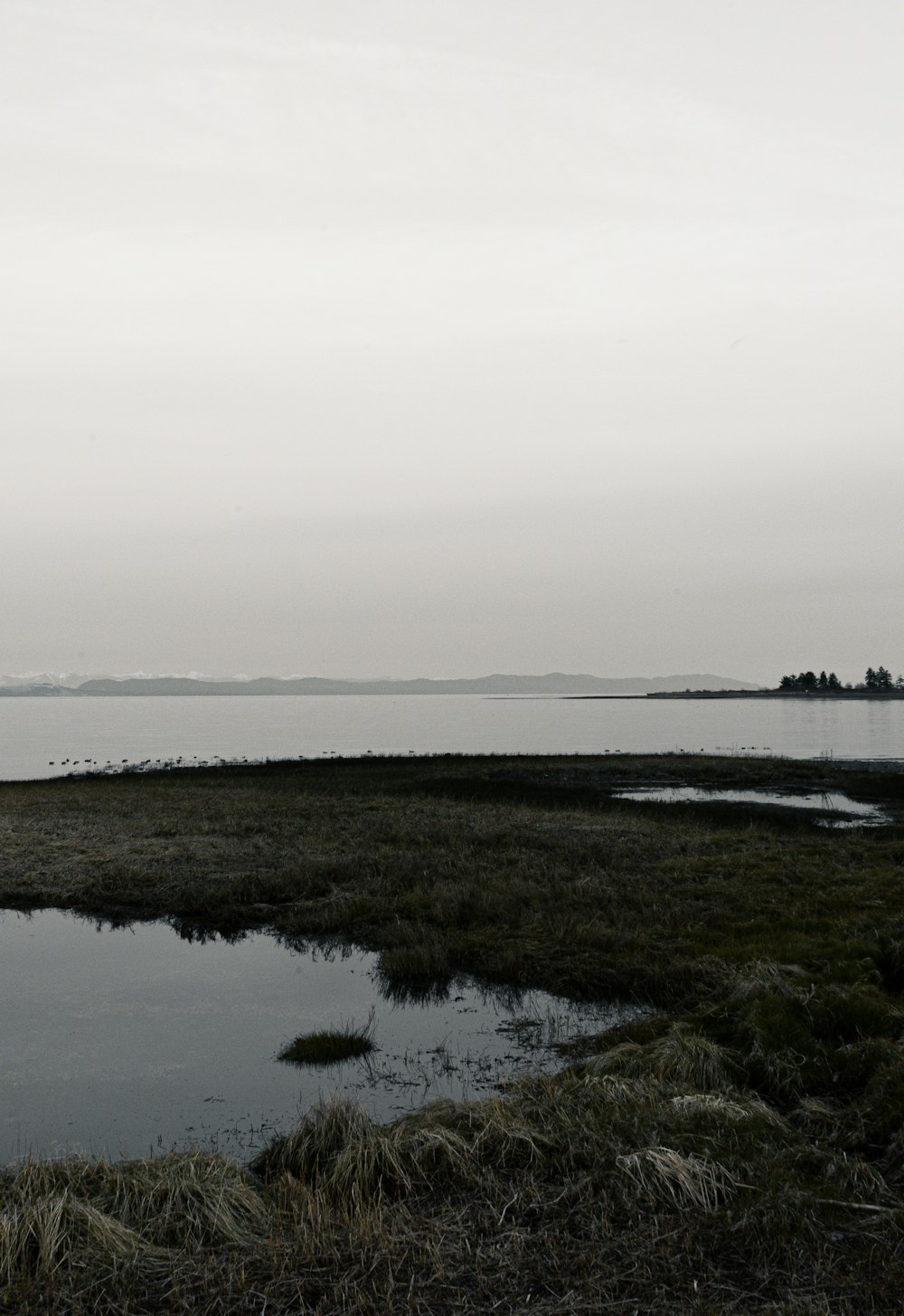 green grass field near body of water during daytime