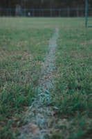 Close-up of a marked lot with fresh grass and a wooden stake showing boundaries.