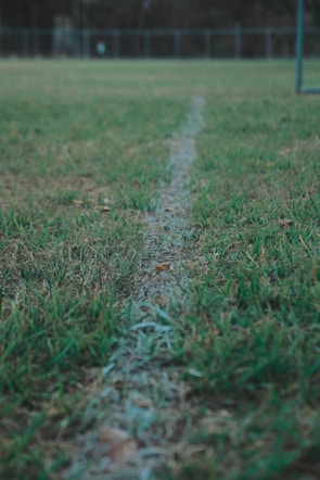 Close-up of a marked lot with fresh grass and a wooden stake showing boundaries.
