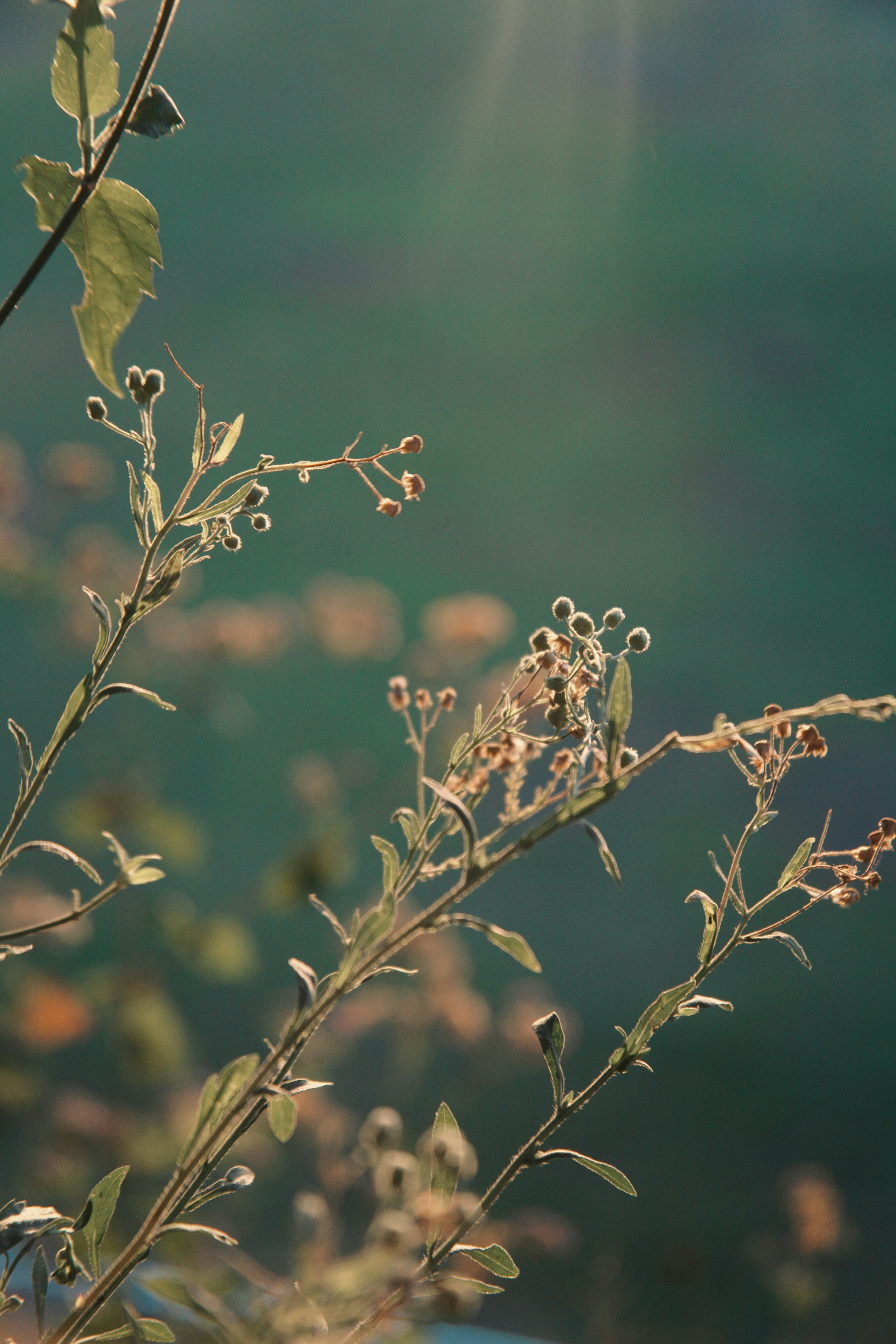 Photo by alejandroalas7536