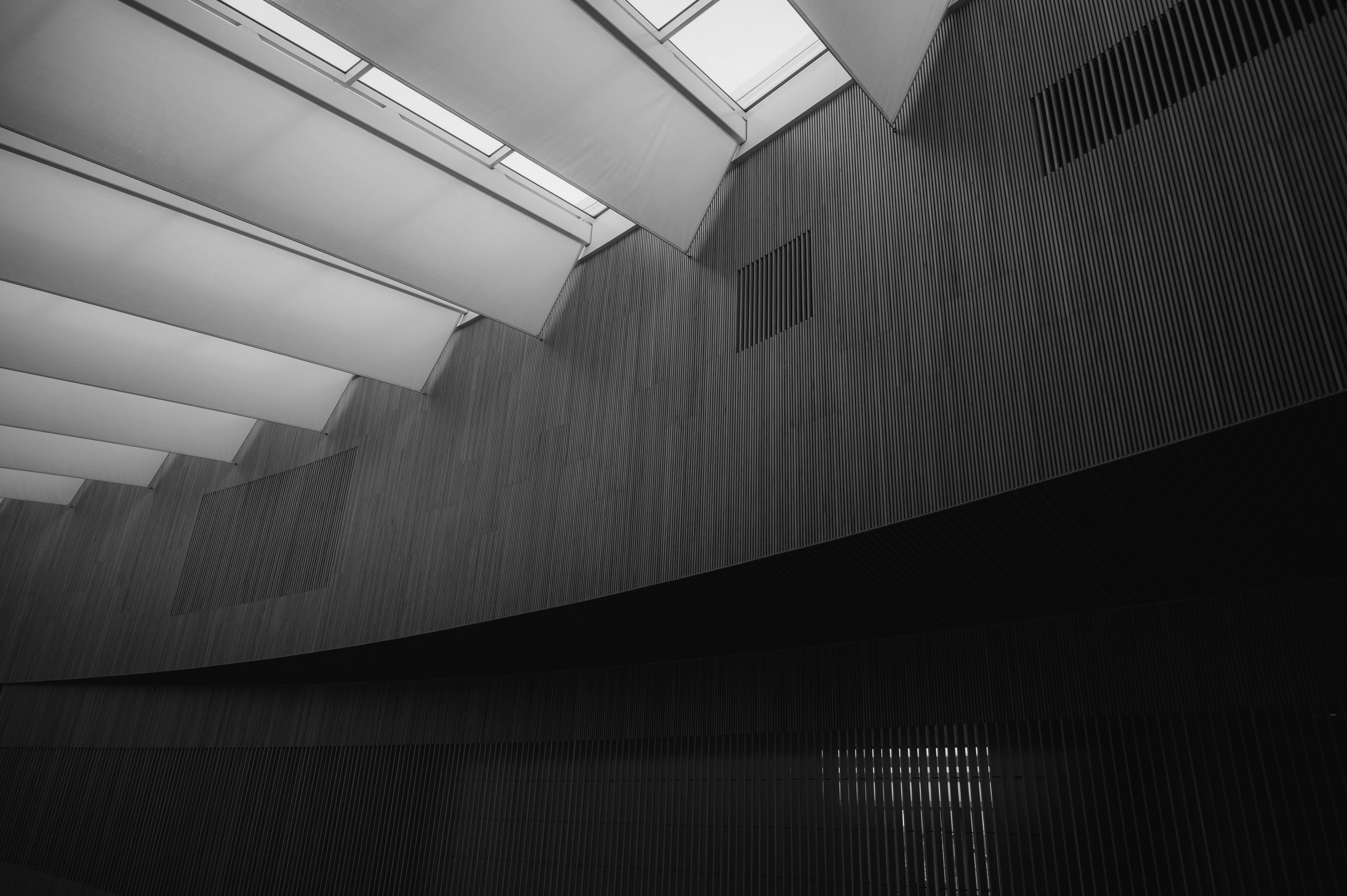 Photo by ryunosuke_kikuno