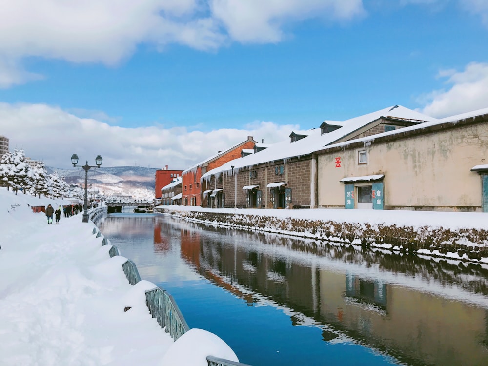 昼間、青空の下、水域の近くにある茶色と白のコンクリートの建物