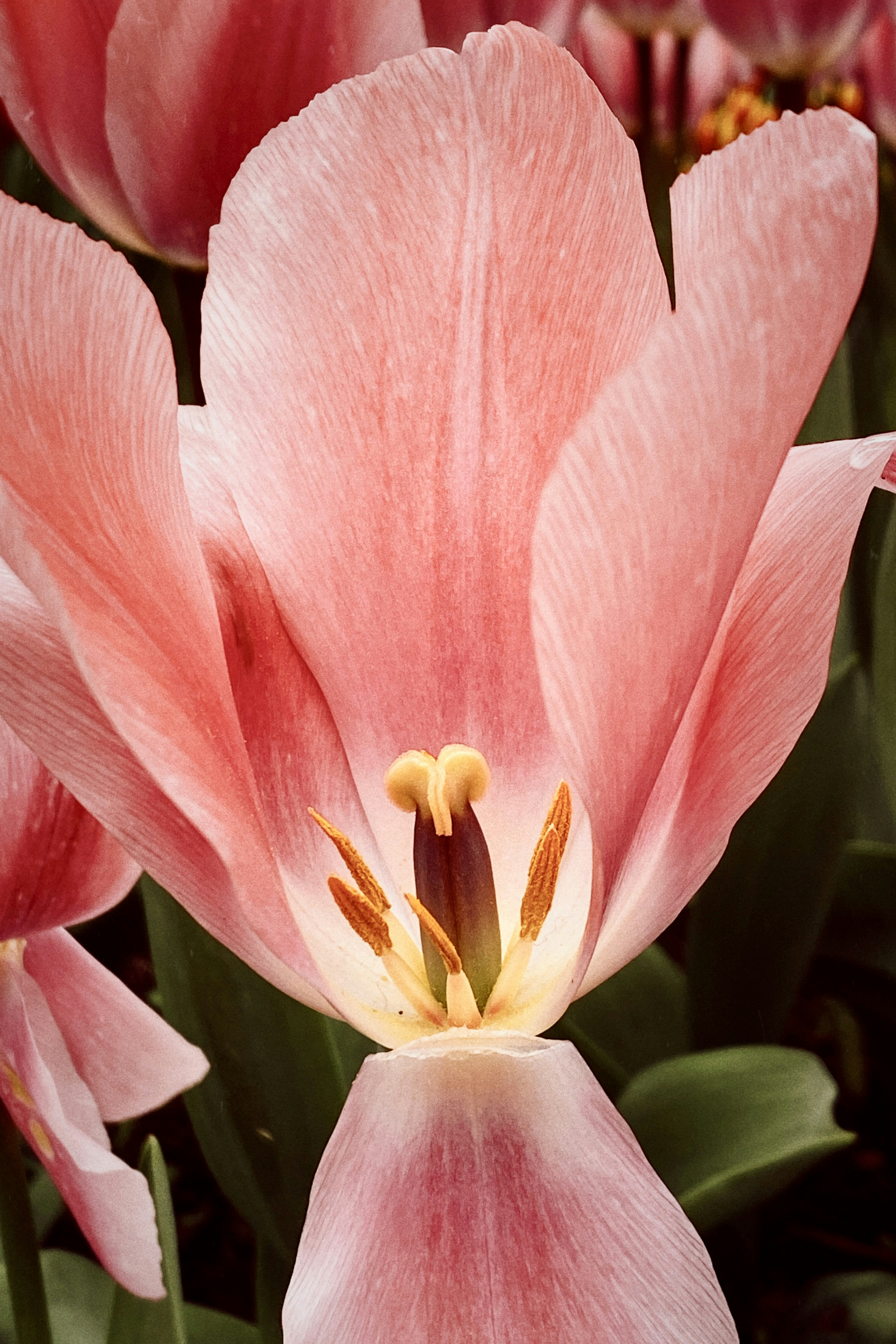 Photo by nathan_wong