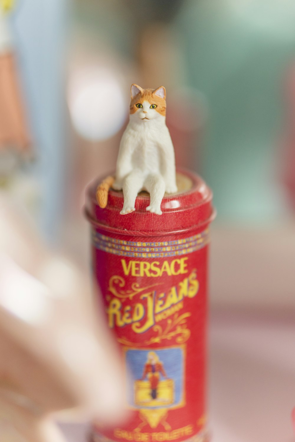 赤いプラスチック容器にオレンジ色のぶち猫