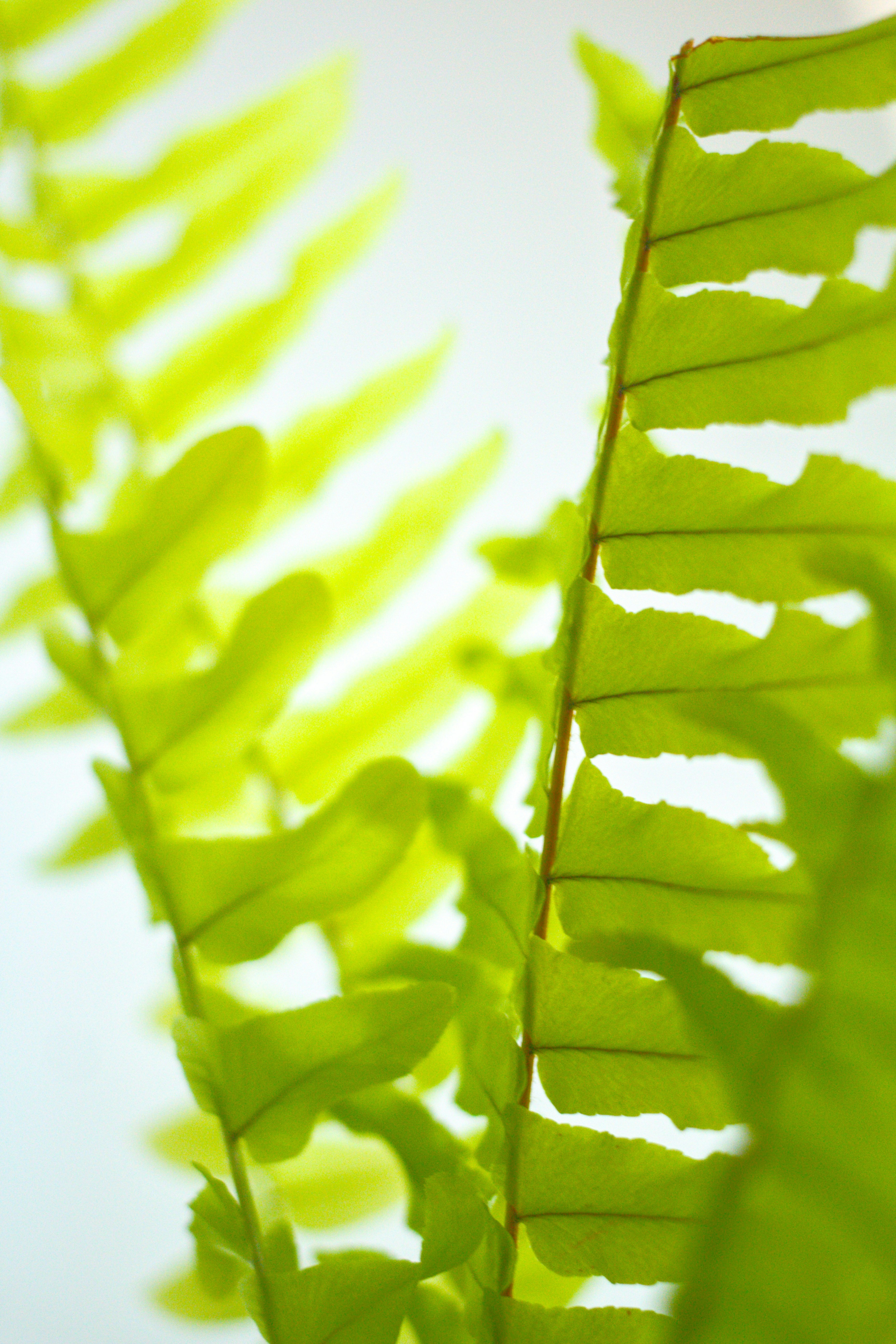 Photo by joshua_hoehne