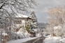 snow covered trees and houses during daytime