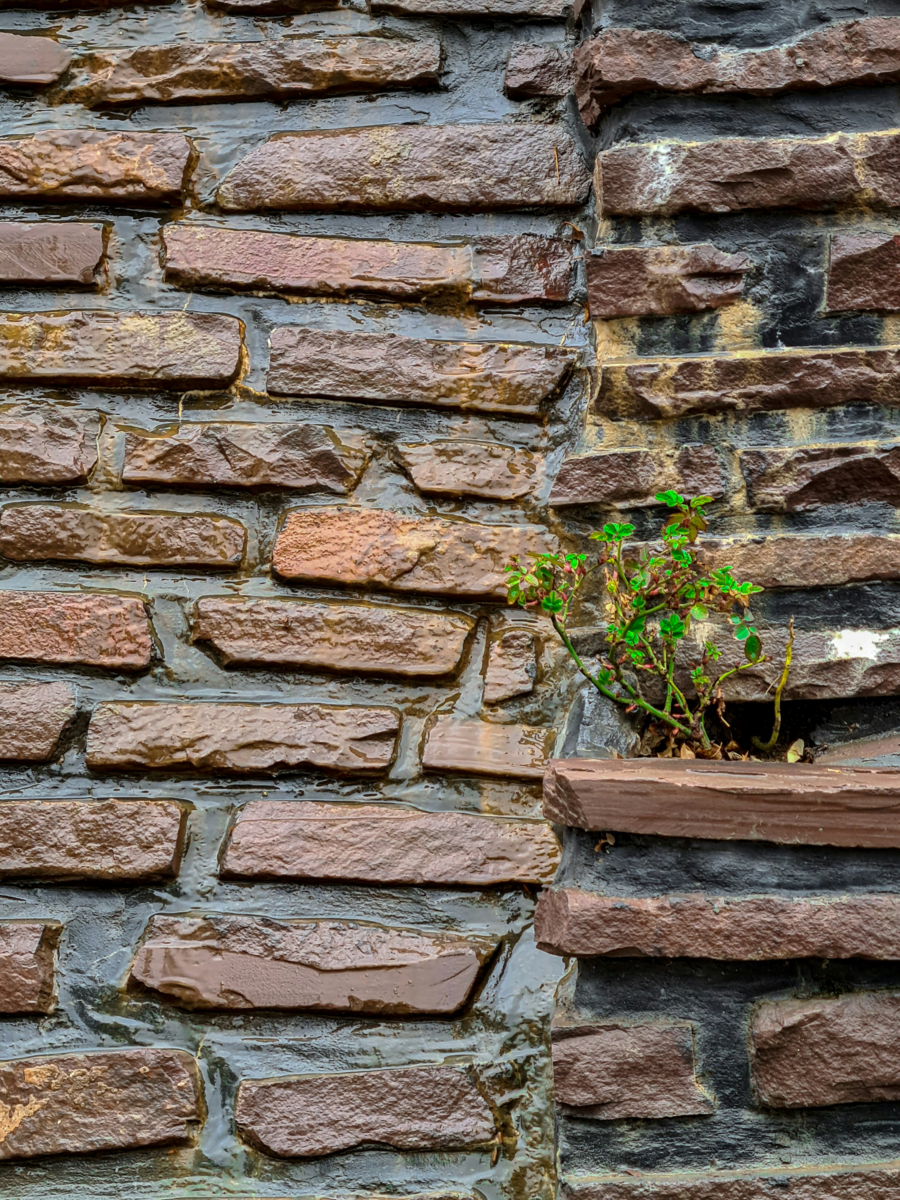 Photo by hoseinchaharbaghi