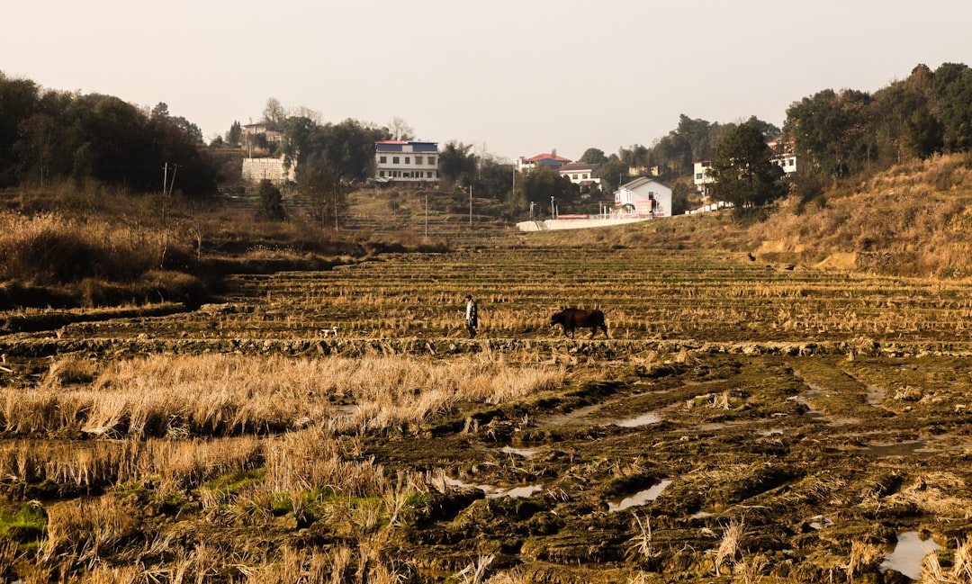 Off the Beaten Path: Chinese Travelers Flock to Rural Destinations… — Off the Beaten Path, photo 7
