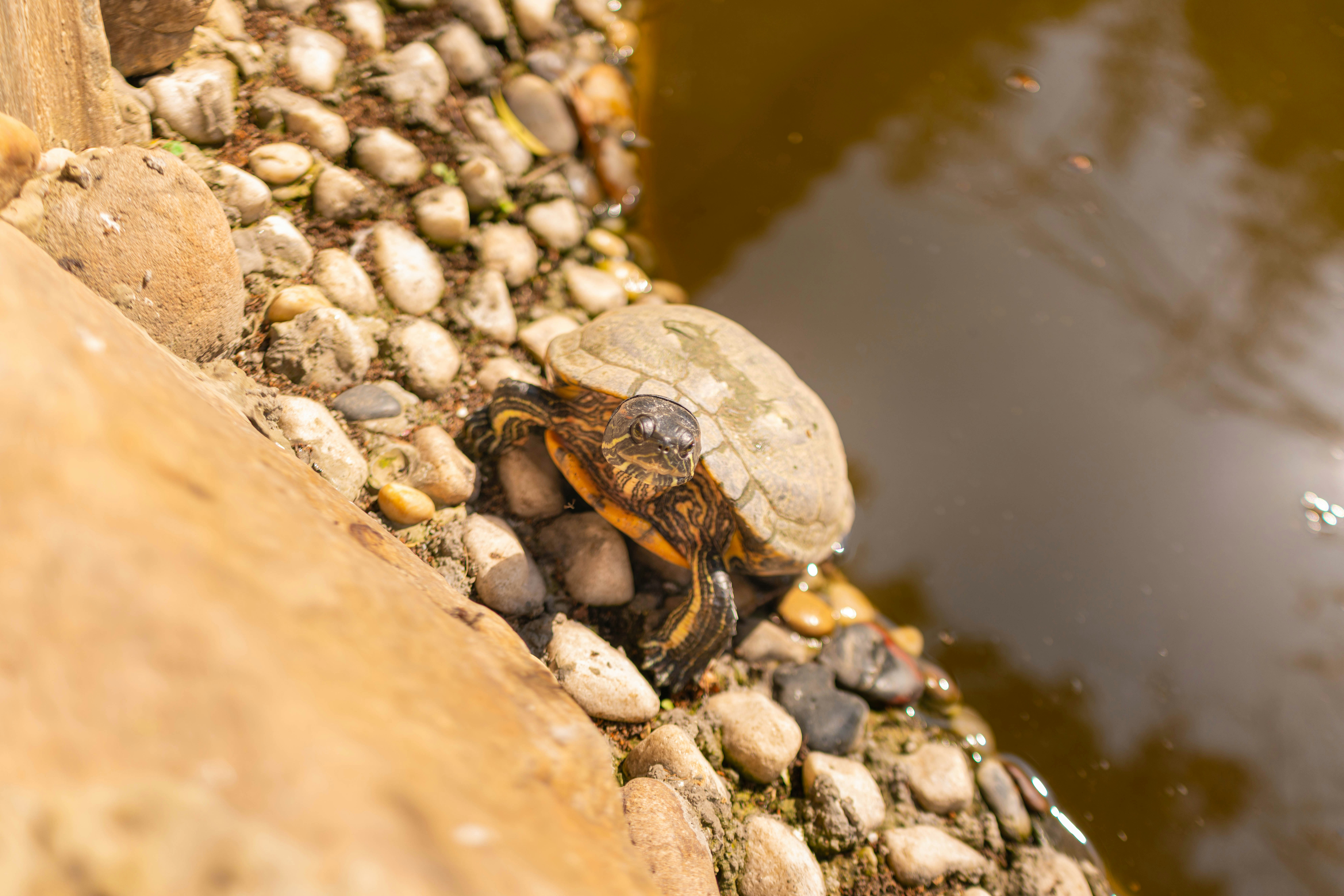 Photo by alexanderxiaoyu