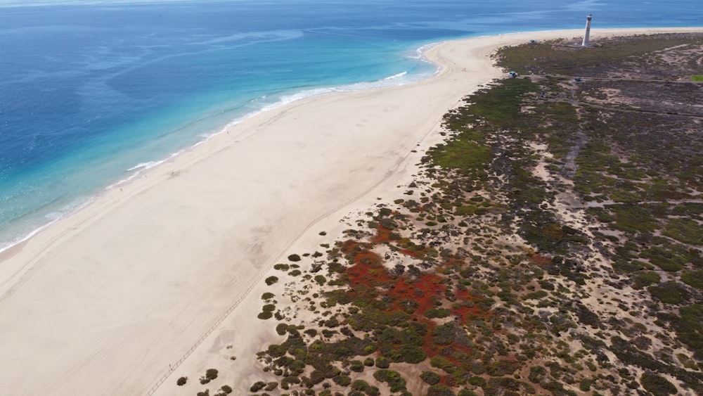 aerial view of beach during daytime