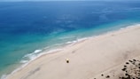 people on beach during daytime