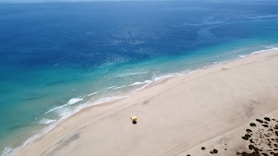 people on beach during daytime